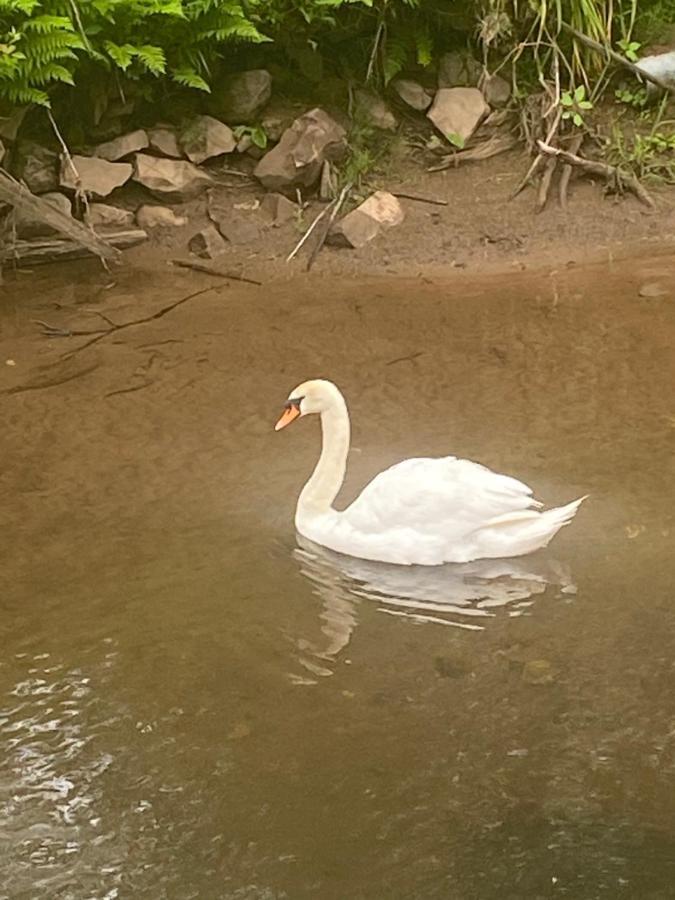 Riverbank Cottage Lake District Double Balcony Egremont  外观 照片